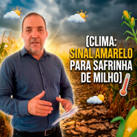 Clima: Corte nas chuvas no Centro-Norte acende sinal amarelo para Safrinha de milho 