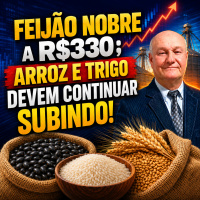 Feijão nobre a R$330 arroz e trigo devem continuar subindo!