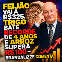 Feijão Vai a R$325, Trigo Bate Recorde de 4 Anos e Arroz Supera R$100 – Brandalizze comenta