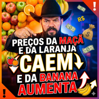 Preços da maçã e da laranja caem e da banana aumenta
