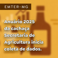 Anuário 2025 da cachaça - Secretaria de Agricultura inicia coleta de dados