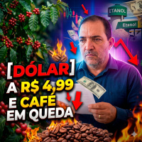 Dólar a R$ 4,99 e Café em Queda: O cenário que preocupa o produtor.