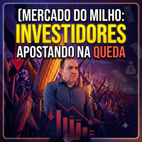 Mercado do milho: Por que os grandes investidores estão apostando na queda do cereal? 