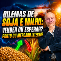 Dilemas de soja e milho: Vender ou esperar? Porto ou mercado interno? 