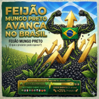 Feijão mungo preto avança no Brasil e atrai interesse de exportadores globais