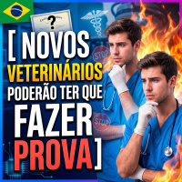 Novos médicos veterinários poderão ter que fazer prova para exercerem a profissão