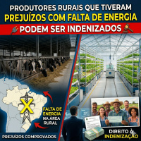  Produtores rurais que tiveram prejuízos com falta de energia podem ser indenizados