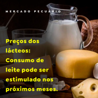 MERCADO DO LEITE