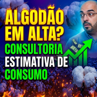 Algodão em Alta? Consultoria internacional eleva estimativa de consumo mundial.
