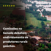 Comissões no Senado debatem endividamento de produtores rurais gaúchos