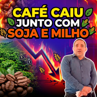 Por que o Café caiu junto com a Soja e o Milho?