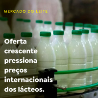 Oferta crescente pressiona preços internacionais dos lácteos