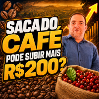 Saca do café pode subir mais R$200?
