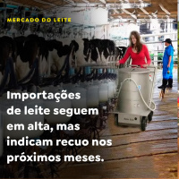 Importações de leite seguem em alta, mas indicam recuo nos próximos meses