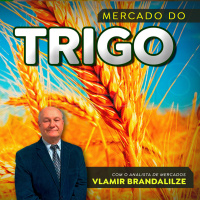 Trigo estrangeiro é mais competitivo e produtores brasileiros devem seguir tendo problemas