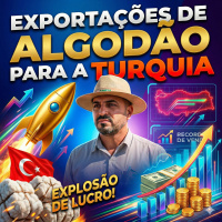  Brasil Domina Exportações de Algodão para a Turquia e Mantém Safra Recorde