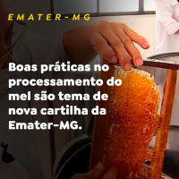 EMATER-MG