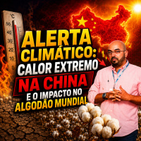 Alerta Climático: Calor Extremo na China e o Impacto no Algodão Mundial 