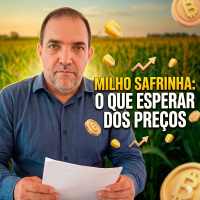 Milho Safrinha: O que esperar dos preços com o início da colheita?
