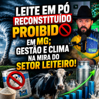 Leite em pó reconstituído PROIBIDO em MG Gestão e clima na mira do setor leiteiro!