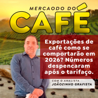 Exportações de café como se comportarão em 2026? Números despencaram após o tarifaço