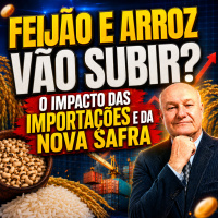 Feijão e Arroz vão subir? O impacto das importações e da nova safra
