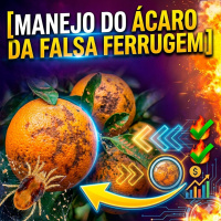Quais os principais pontos de atenção durante o manejo do ácaro da falsa ferrugem? 