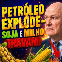 Soja e Milho andam de lado com alta do petróleo Brasil aproveita pior safra de Sorgo dos EUA