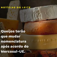 Queijos terão que mudar nomenclatura após acordo do Mercosul-UE