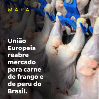 União Europeia reabre mercado para carne de frango e de peru do Brasil