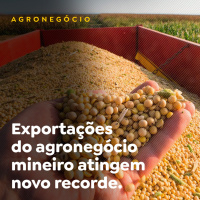 AGRONEGÓCIO