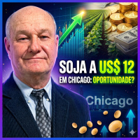 Soja a US$ 12 em Chicago: a oportunidade para o produtor brasileiro 