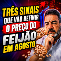 Três sinais que vão definir o preço do feijão em agosto