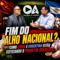 Fim do Alho Nacional? Como China e Argentina Estão Asfixiando o Produtor Brasileiro 