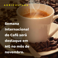 Semana Internacional do Café será destaque em MG no mês de novembro