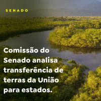 SENADO