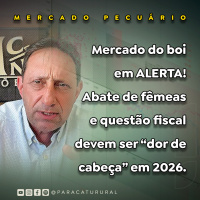 MERCADO PECUÁRIO