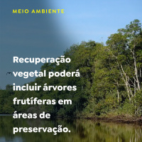 Recuperação vegetal poderá incluir árvores frutíferas em áreas de preservação