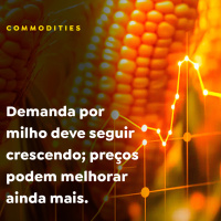 Demanda por milho deve seguir crescendo preços podem melhorar ainda mais 