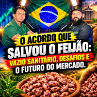 O Acordo que Salvou o Feijão: Vazio Sanitário, Desafios e o Futuro do Mercado