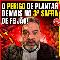 Alerta no Campo: O perigo de plantar demais na 3ª safra de feijão!