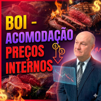 Mercado do Boi: Entre a acomodação dos preços internos e o recorde de exportações