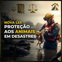 Nova lei protege animais em desastres e emergências.