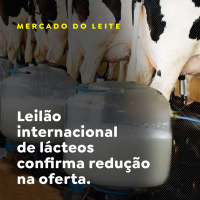 Leilão internacional de lácteos confirma redução na oferta
