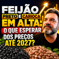 Feijão preto e carioca em alta: o que esperar dos preços até 2027?