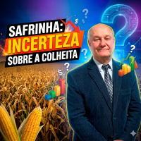 Dilema da Safrinha: Incerteza sobre a Colheita Mantém Mercado Interno em Calmaria