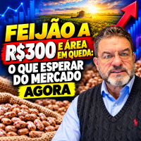 FEIJÃO a R$300 e Área em Queda: O Que Esperar do Mercado Agora