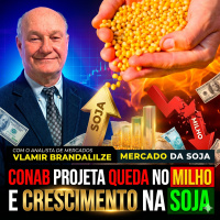  Análise Por que o mercado da soja está acomodado mesmo com exportações altas