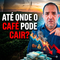 Até onde o Café pode cair? Joãozinho Grafista faz o alerta!