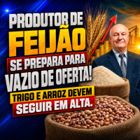 Produtor de Feijão se prepara para vazio de oferta! Trigo e arroz devem seguir em alta.